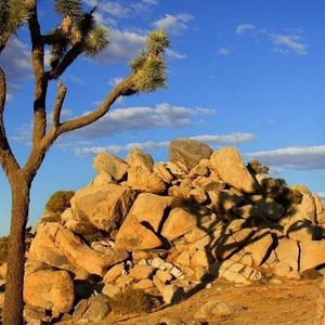 Meet your Posher, Stephenie